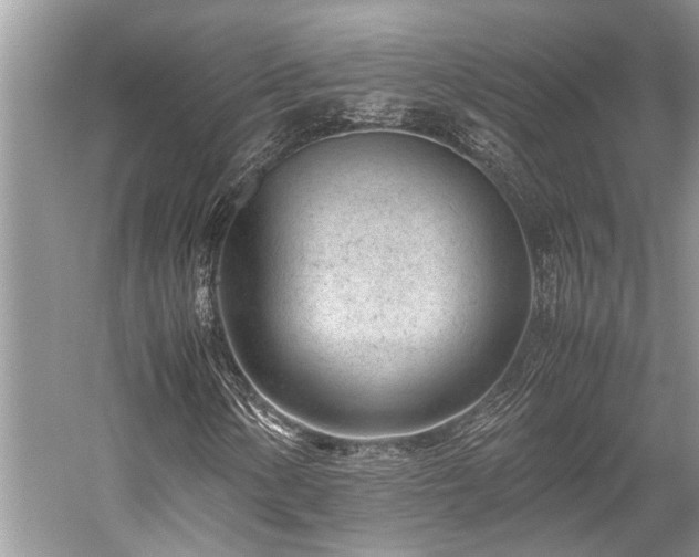 X0000059831154200510211205