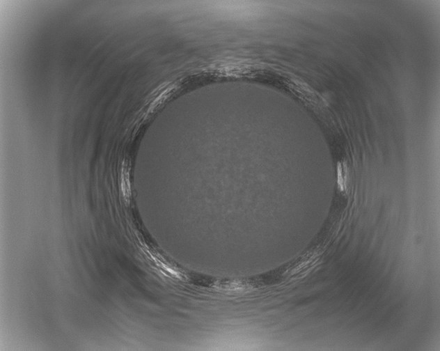 X0000059831155200510211205