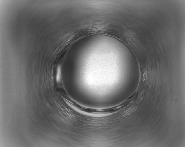 X0000059831156200510211205