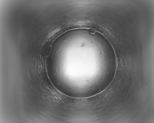 X0000059831158200510211205