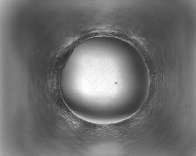 X0000059831159200510211205