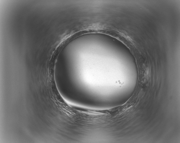 X0000059831160200510211205