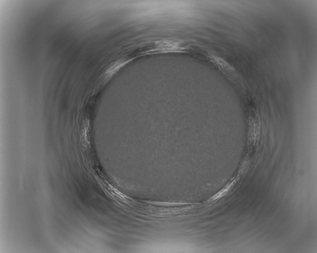 X0000059831161200510211205