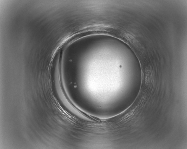 X0000059831164200510211205