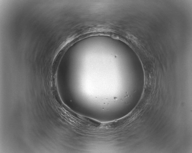 X0000059831165200510211205