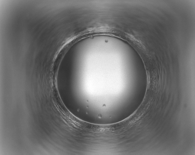 X0000059831166200510211205