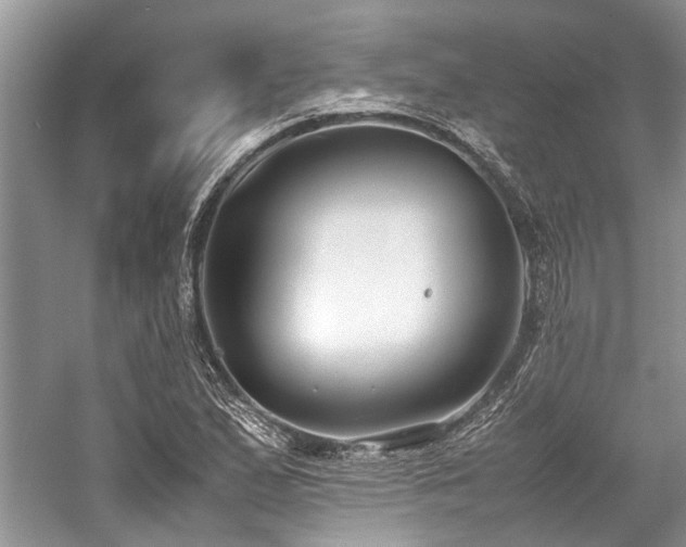 X0000059831167200510211205