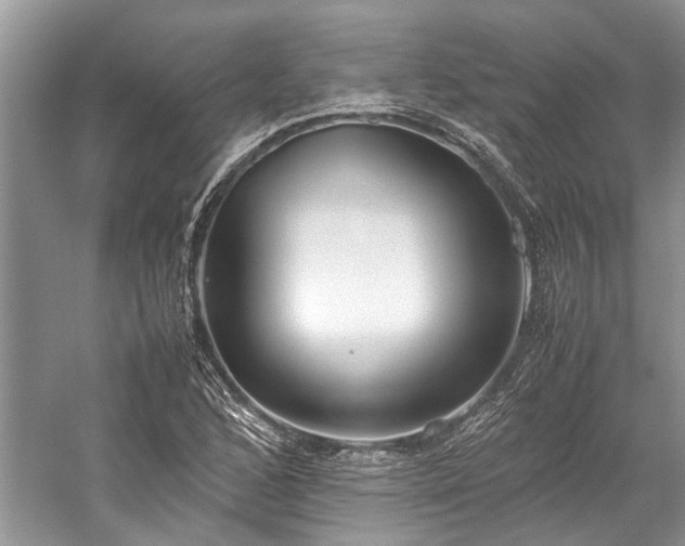 X0000059831168200510211205