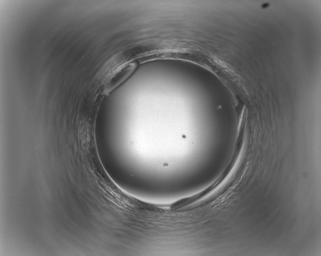 X0000059831169200510211205