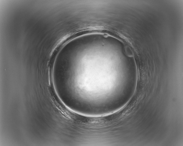 X0000059831171200510211205