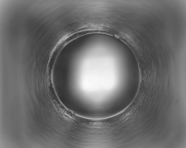 X0000059831172200510211205