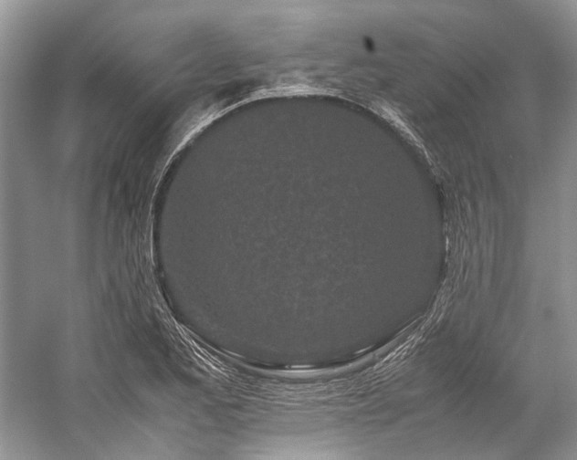 X0000059831173200510211205