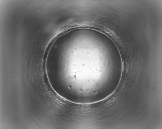 X0000059831174200510211205