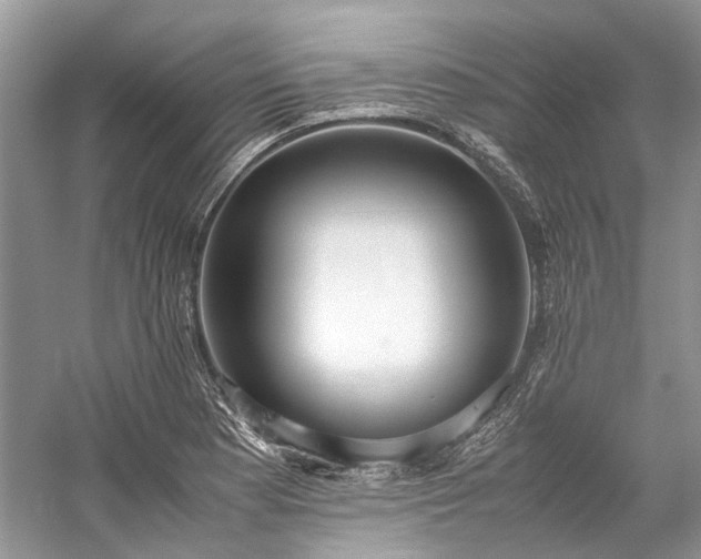 X0000059831177200510211205