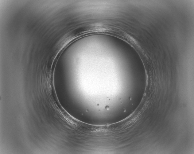 X0000059831178200510211205