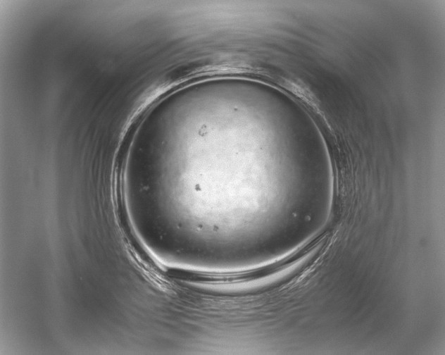 X0000059831179200510211205