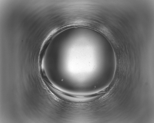 X0000059831180200510211205