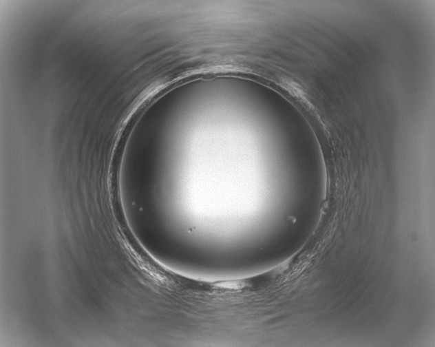 X0000059831181200510211205