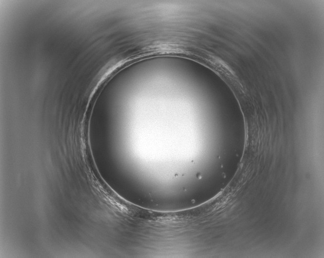 X0000059831182200510211205