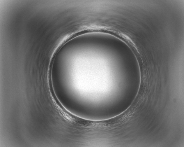 X0000059831183200510211205