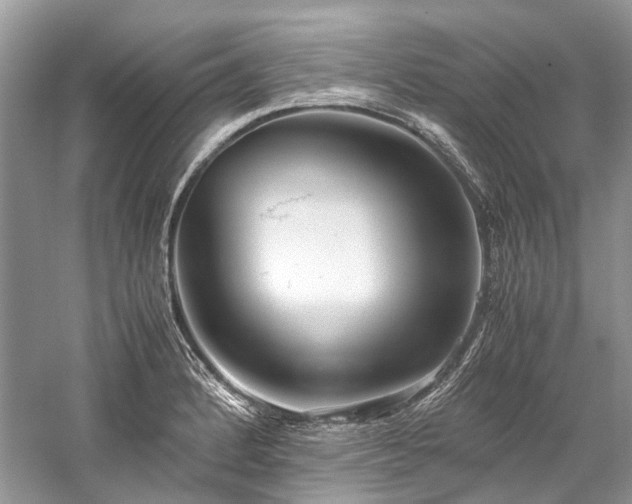 X0000059831184200510211205