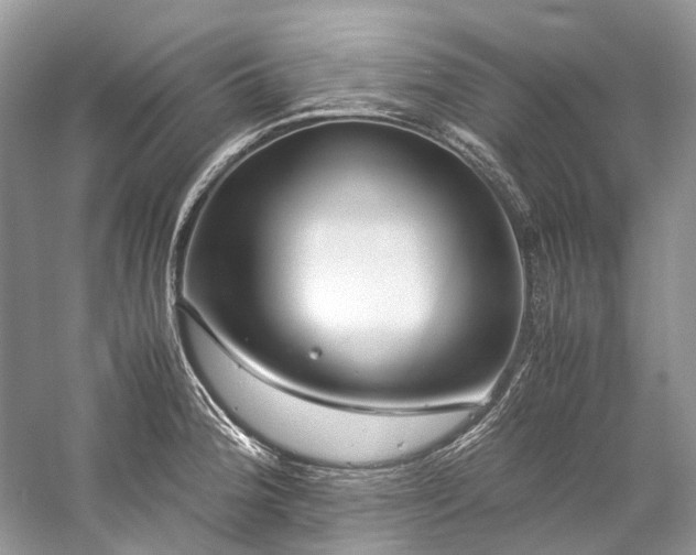 X0000059831188200510211205