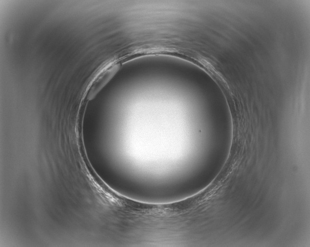 X0000059831189200510211205