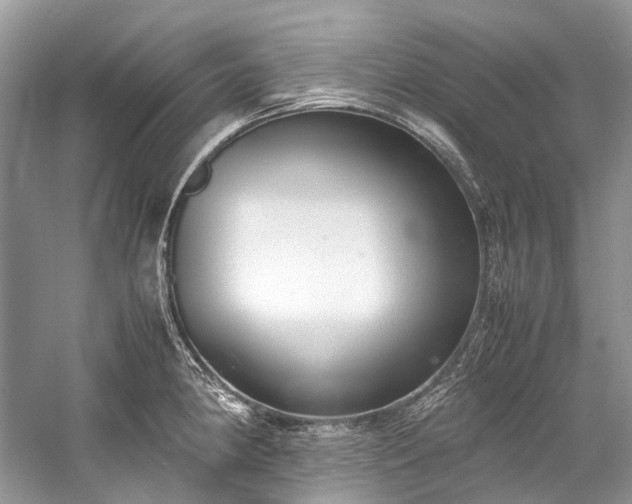 X0000059831190200510211205