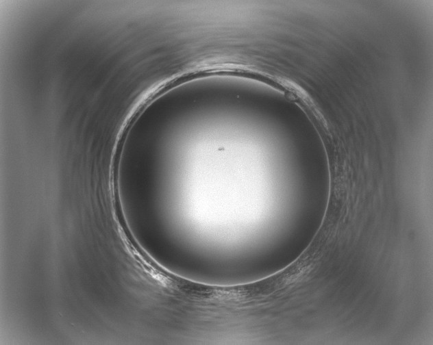 X0000059831191200510211205