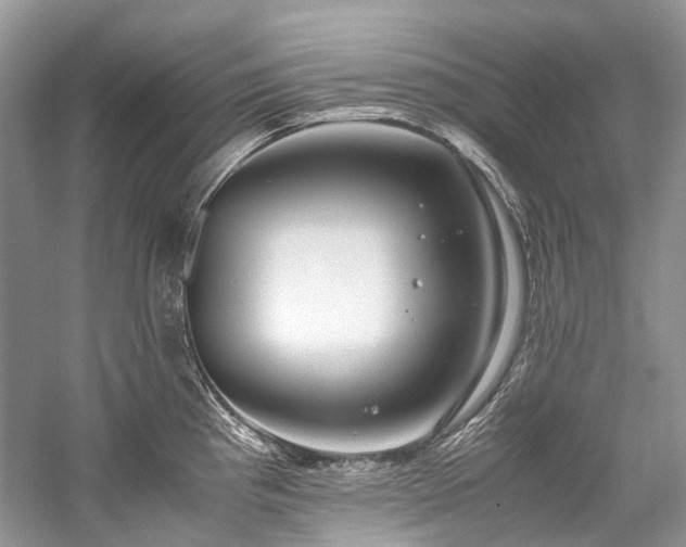 X0000059831193200510211205