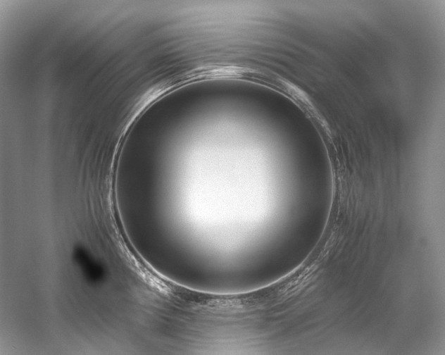 X0000059831194200510211205