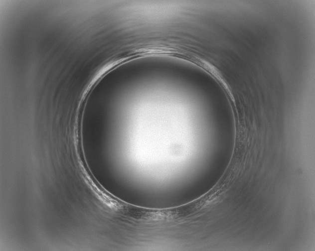 X0000059831195200510211205