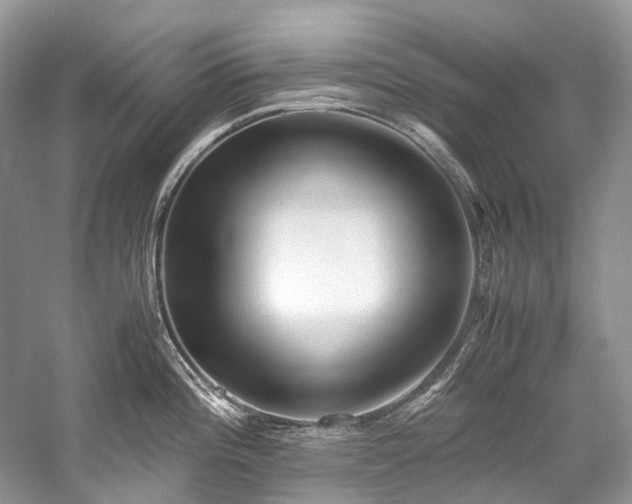 X0000059831196200510211205