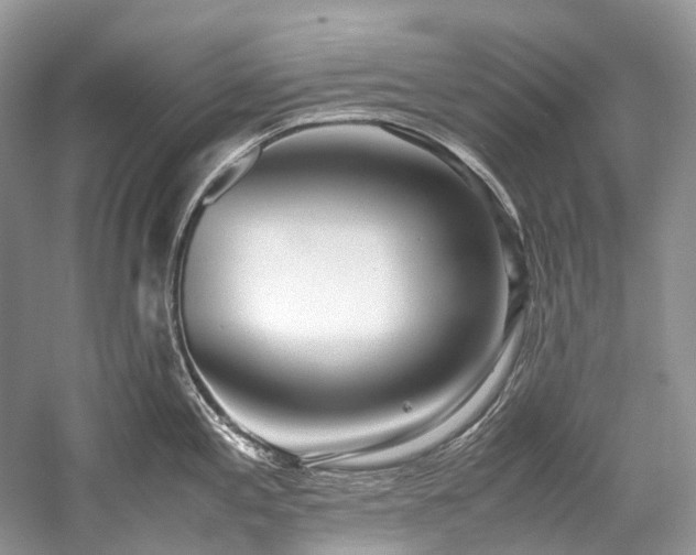 X0000059831197200510211205