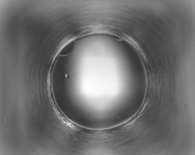 X0000059831198200510211205