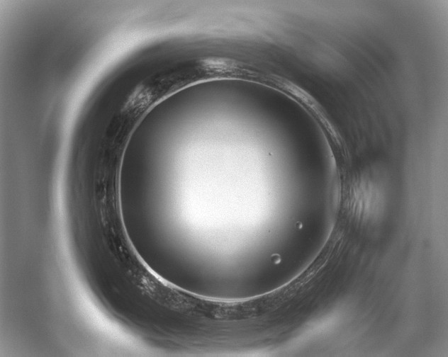 X0000059831199200510211205