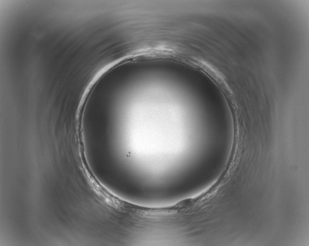 X0000059831200200510211205