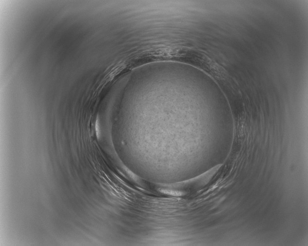 X0000059831202200510211204