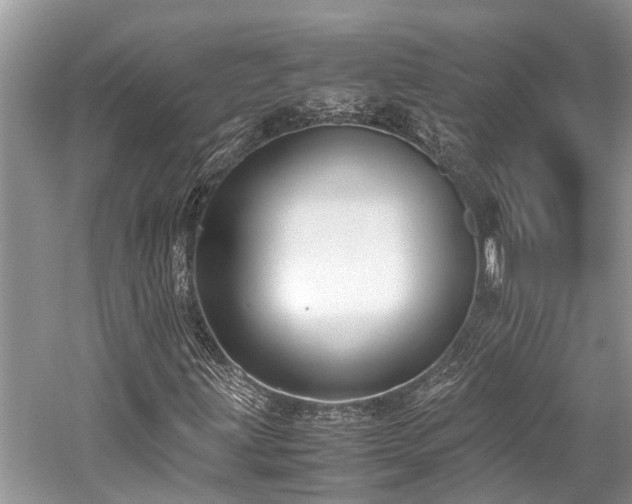 X0000059831203200510211204