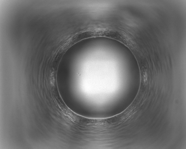 X0000059831204200510211204