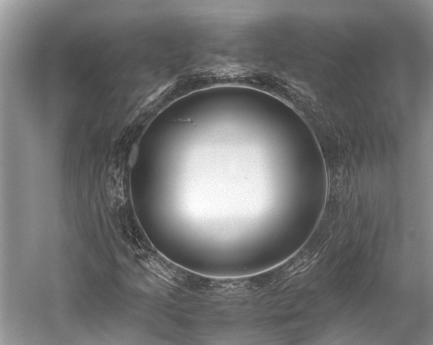 X0000059831205200510211204