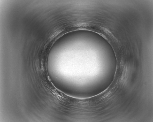 X0000059831209200510211204