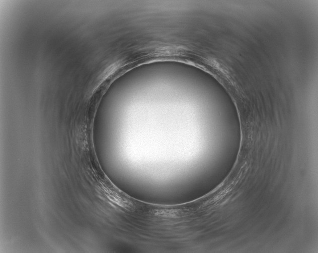 X0000059831211200510211204