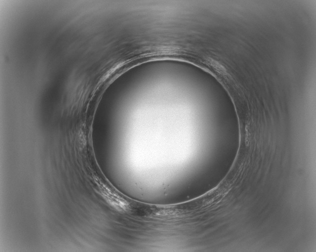 X0000059831212200510211204