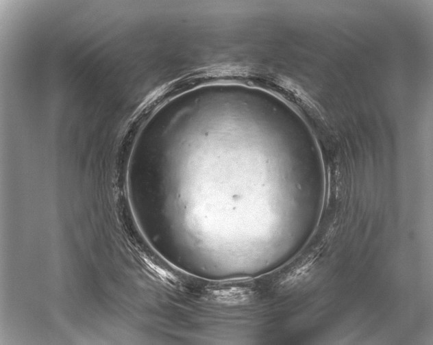 X0000059831213200510211204