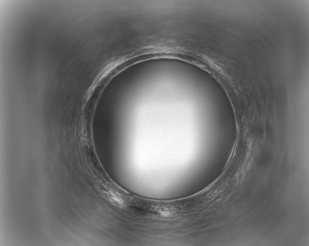 X0000059831215200510211204