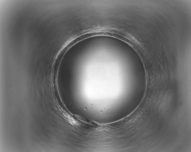 X0000059831216200510211204