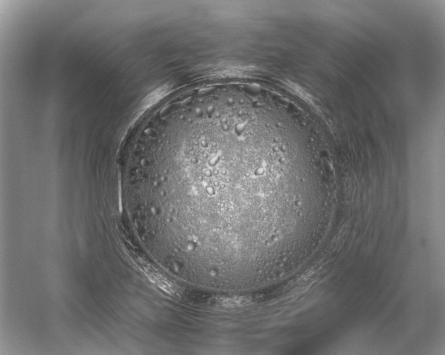 X0000059831219200510211204