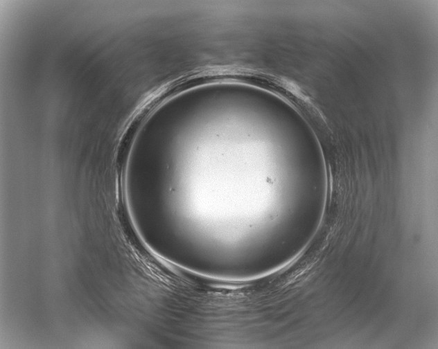 X0000059831221200510211204