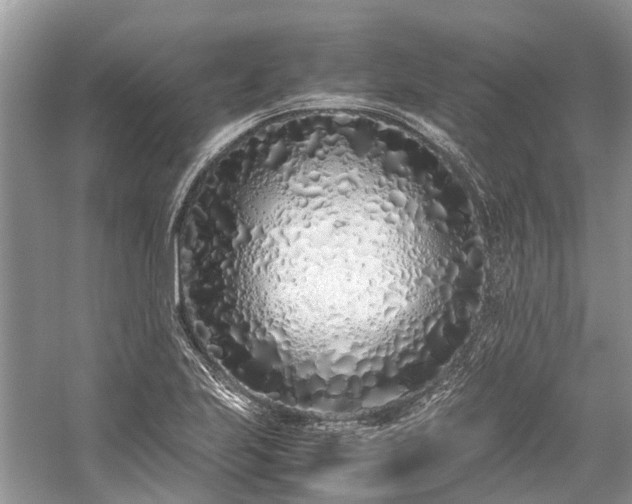 X0000059831223200510211204